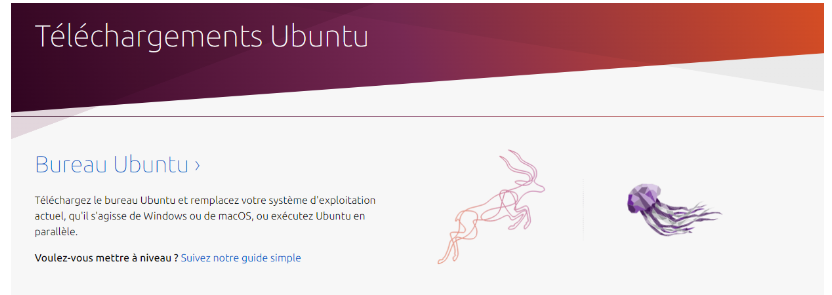 Ubuntu est une version Linux connue et très facile à prendre en main pour remplacer Windows - kiatoo