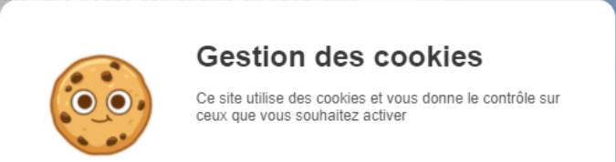 Les sites tenus d'informer les utlisateurs sur l'utiliation des cookies - kiatoo