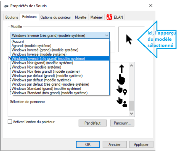 l'onglet pointeurs pour changer forme couleur souris - kiatoo